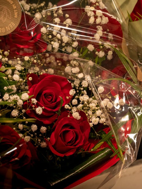 A bouquet featuring three large, deep red roses with velvety petals, accompanied by delicate white baby's breath flowers. The arrangement is wrapped in clear cellophane, allowing the vibrant colors an